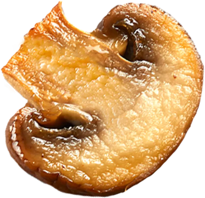 ناجتس